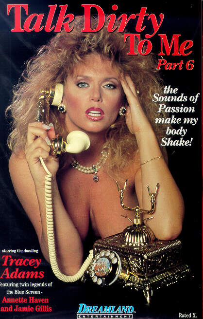 Talk Dirty To Me 6 (1988) cover