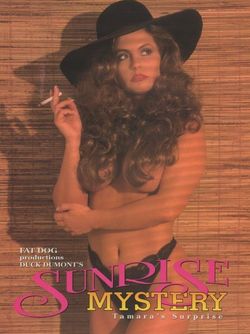 Sunrise Mystery (1992) cover